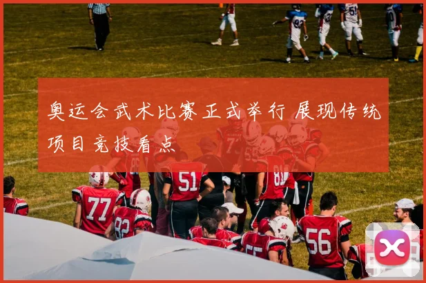 奥运会武术比赛正式举行 展现传统项目竞技看点