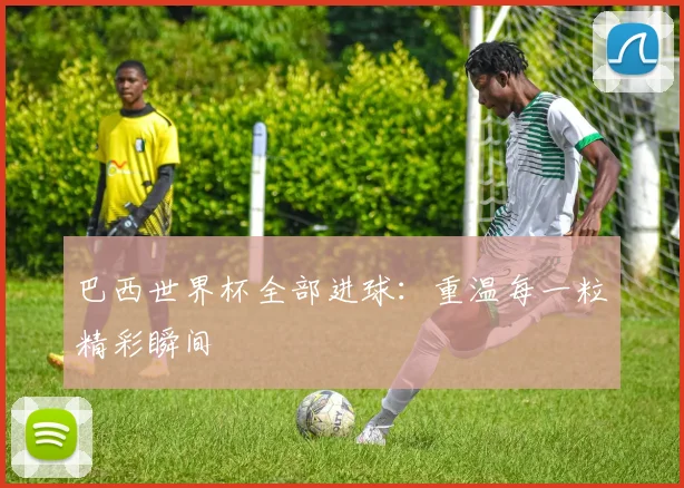 巴西世界杯全部进球：重温每一粒精彩瞬间